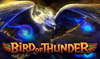 Slot Demo Bird of Thunder